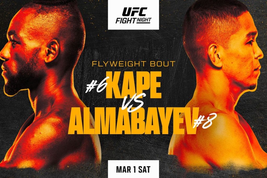 UFC Fight Night 253 прямая трансляция